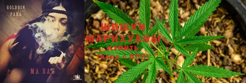 Бошки марихуана White Widow  купить   Анжеро-Судженск 